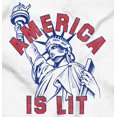 thumbnail image 2 of Statue of Liberty America is Lit Joke Toddler Boy Girl T Shirt Infant Toddler Brisco Brands 6M, 2 of 6