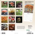 thumbnail image 2 of Magic Mushrooms 2024 Square Brush Dance (Calendar), 2 of 8