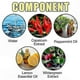 thumbnail image 5 of Natural Peppermint Spray for Rodent Control, 3-Pack Trigger Sprayer for Home Use, 5 of 5