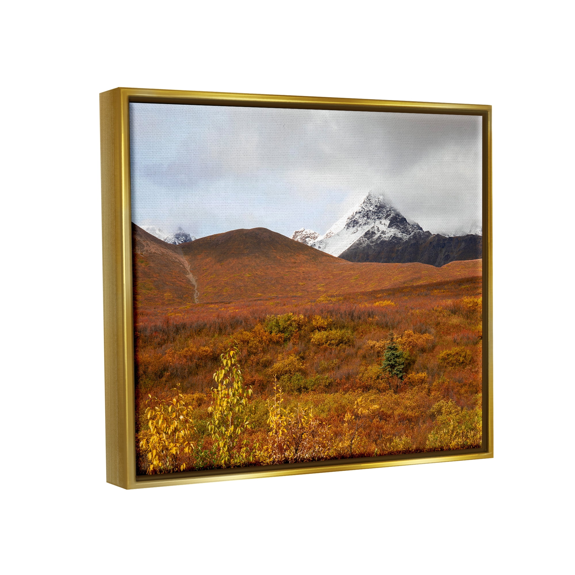 Stupell Industries Meadow with Distant Peak Landscape Photography Gold Floater Framed Canvas Art Print Wall Art, 31 x 25