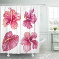 thumbnail image 1 of KSADK Pink Abstract Watercolor Tropical Flowers Red Aloha Beach Beautiful Blossom Botany Shower Curtain Bath Curtain 60x72 inch, 1 of 1