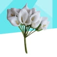 thumbnail image 5 of 12pcs Mini Calla Lily Artificial nupcial de la boda flores falsas decoración del partido ramo PE Real Touch flor (blanco), 5 of 5