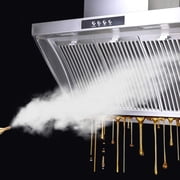 Miumaeov 1600W Steam Cleaner Machine Vapor Cleaning Engine High Temperature Disinfection