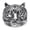 Silver Black, variant on Men's Stainless Steel Vintage Personalized Creative Animal Tiger Head Punk Ring Gold Black Size 10