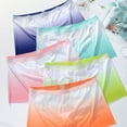 thumbnail image 4 of CENL Sexy Men Ice Silk Sheer Underwear Underpants Breathable Ultrathin Boxer Briefs, 4 of 9
