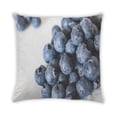 thumbnail image 2 of Ahgly Company Foods Blueberries Outdoor Throw Pillow, 18 inch by 18 inch, 2 of 6