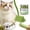 white, variant on Freeze Dried Cat Grass Sticks, 1 Can (16 Sticks, 80G) & 1 Box (16Pcs) - Natural Dental Chew & Hairball Care For Cats