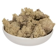 Vickerman Natural Preserved Reindeer Moss 2 Lbs Box