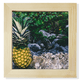 thumbnail image 1 of Planta de hojas de piña Unbranded Foto Pantalla de escritorio Marco cuadrado, 1 of 4