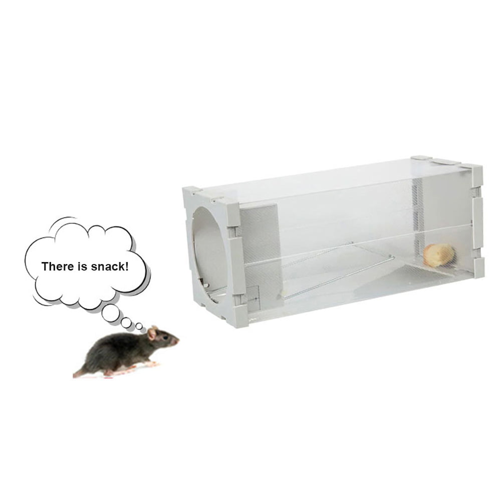 Humane Hamster Rat Mouse Trap Cage Bait Automatic Live Catching Bait Big Cheese