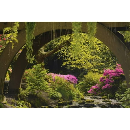Spring Colors at Crystal Springs Rhododendron Garden, Oregon, USA Print Wall Art By Michel (Best Time To Visit Crystal Springs Rhododendron Garden)