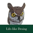 thumbnail image 5 of Dalen Fake Owl Decoy to Scare Birds Away from Gardens, Rooftops, and Patios - Scarecrow Provides Chemical-Free Pest Control - Safe and Humane, 16" Great Horned Owl, 5 of 5