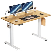 Electric Standing Desk, Height Adjustable Desk, 48 x 24 Inches Ergonomic Stand up Desk with Memory Preset for Home Office, Natural