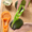 Green, variant on Avocado Slicer and Pitter Tool with Container and Grip Handle Quickly Slices Removes Pit and Peels Avocados Perfect for Kitchen Salad Prep and Healthy Snacks Easy Clean Dishwasher Safe Green Color