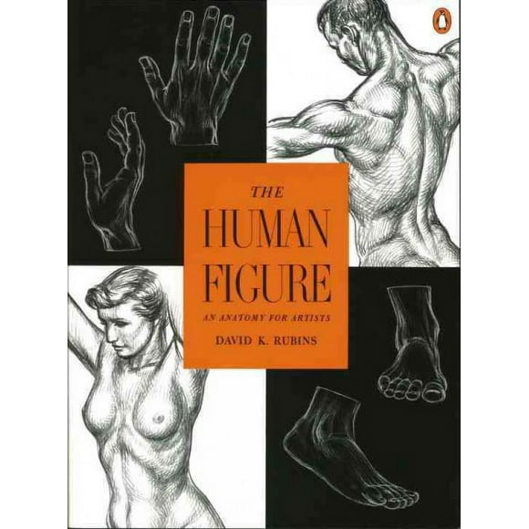 Pre-owned Human Figure : An Anatomy for Artists, Paperback by Rubins, David K., ISBN 0140042431, ISBN-13 9780140042436