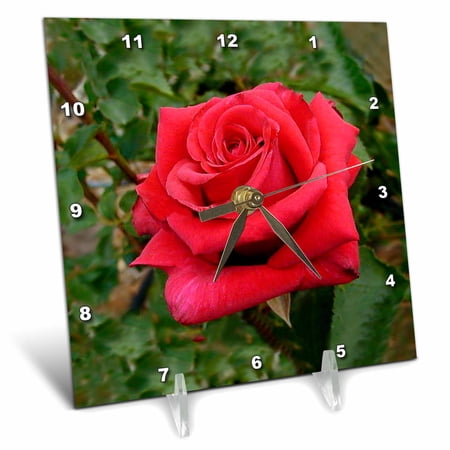 3dRose, Red HT Rose, 6x6 Desk Clock