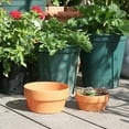 thumbnail image 2 of XIPYYKM 6 Inch Imitation Terracotta Shallow Succulent Pot - 1 Pack Terra Cotta Clay Pots with Drainage, Cacuts Terra-Cotta Indoor and Outdoor Planters with Drainage Hole, 2 of 5