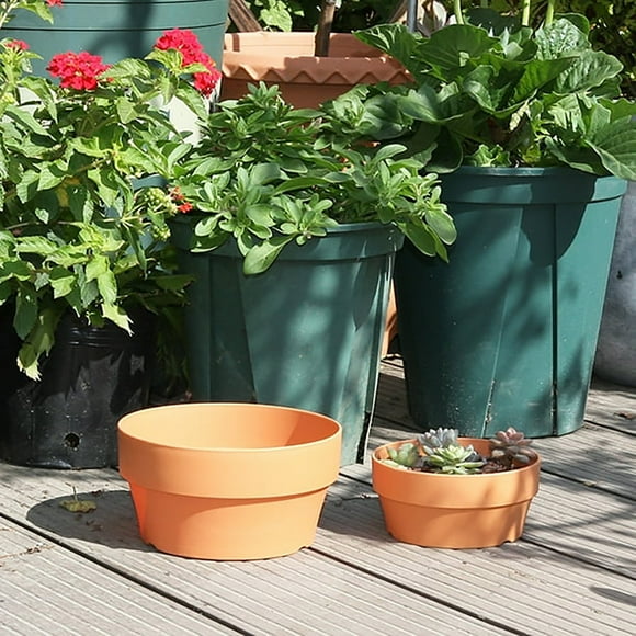 PEEIUO 6 inch Imitation Terracotta Shallow Pot for Succulent Planter with Drainage Hole Cactus Containers Indoor Garden Bonsai Pots