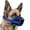 Blue, variant on Dog Muzzle, Soft Air Mesh Muzzles for Medium Sized Dogs, Breathable Dog Mussels for Scavenging Biting Licking & Barking, Adjustable Mouth Guard for Grooming, Allows Panting and Drinking (Black,M)