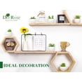 thumbnail image 3 of Set de suculentas artificiales Der Rose con 6 plantas para decoración del hogar, 3 of 6