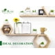 thumbnail image 3 of Set de suculentas artificiales Der Rose con 6 plantas para decoración del hogar, 3 of 6