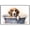 American Foxhound, variant on Golden Retriever Dog Canvas Bathroom Décor - Unique Bath Wall Decor - Modern Canvas Bathroom Wall Art - Room Decor - Bathroom Decorations - Restroom Sign - Wall decor living room