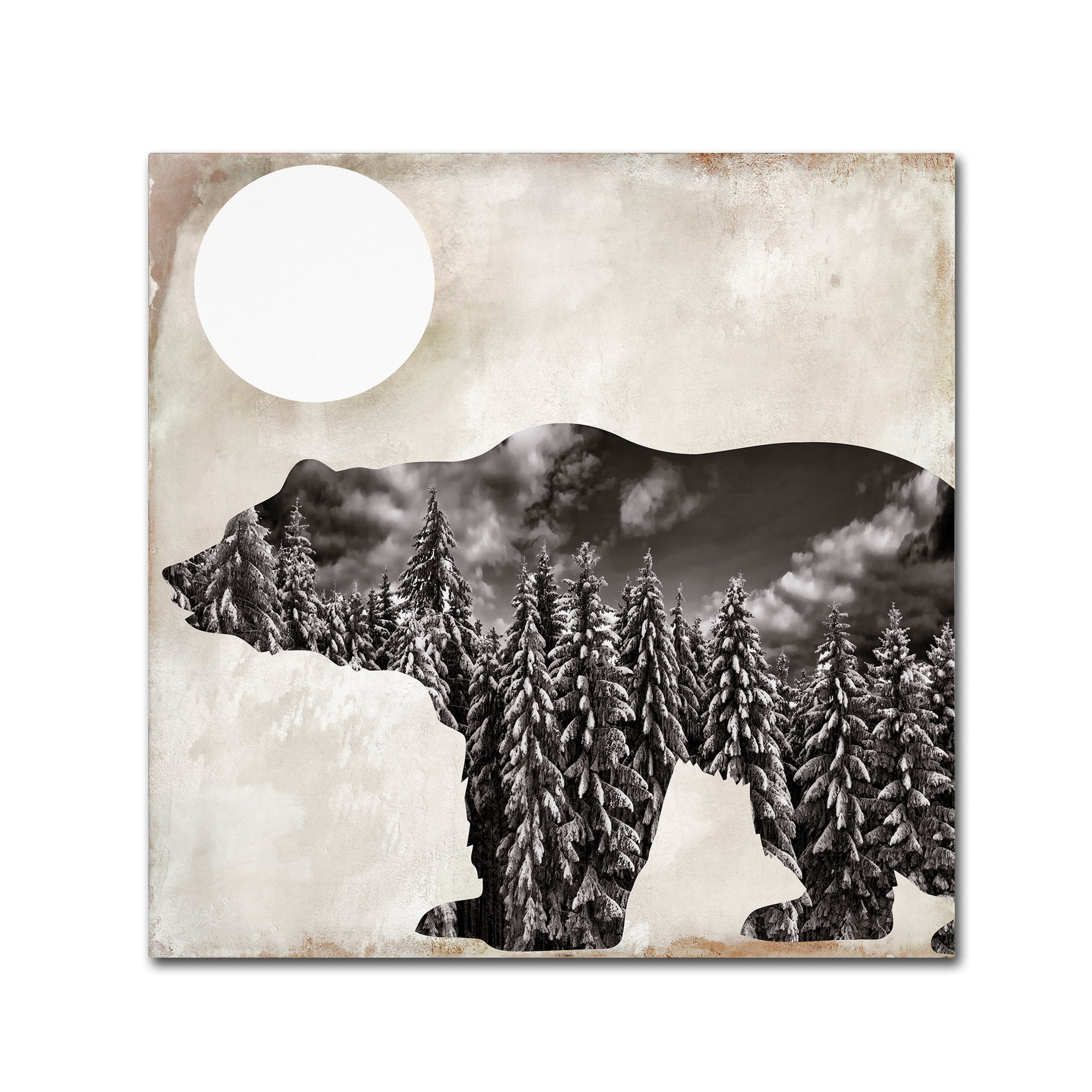 Trademark Fine Art "Going Wild VI" Canvas Art by Color Bakery
