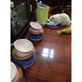 thumbnail image 2 of Bandeja de Alimentación Yuwoda Negro para Gatos y Perros con Protección Antihormigas, 2 of 7
