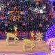 thumbnail image 5 of Lighted Christmas Deer Outdoor Decor, Reindeer Decor With Led Lights, Pre-lit Holiday Dcor For Yard, 5 of 5