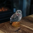 thumbnail image 2 of Enesco Harry Potter Facets Hedwig Acrylic Figurine 3.3in H, 2 of 4