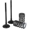 thumbnail image 1 of Wiseco Kit de Soupape d'Échappement pour Garage avec Amis, 1 of 1