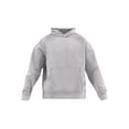 thumbnail image 5 of No Boundaries Men's & Big Men's Double Knit "Scuba" Fleece Sweatshirt Hoodie, Sizes XS-3XL, 5 of 5