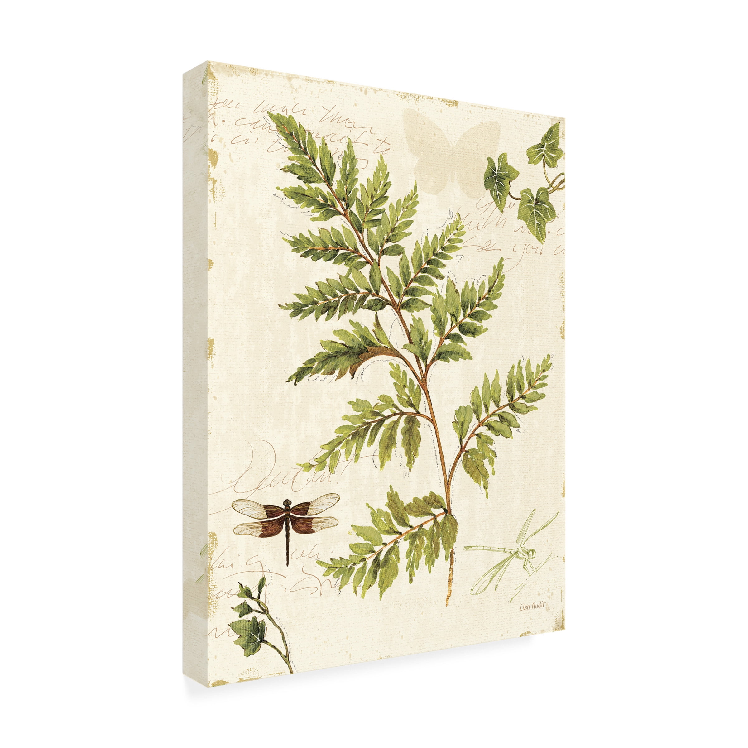 Trademark Fine Art Lisa Audit Ivies and Ferns I Canvas Wall Art - 14x19