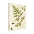 thumbnail image 3 of Trademark Fine Art "Ivies and Ferns I" Canvas Art by Lisa Audit, 3 of 5
