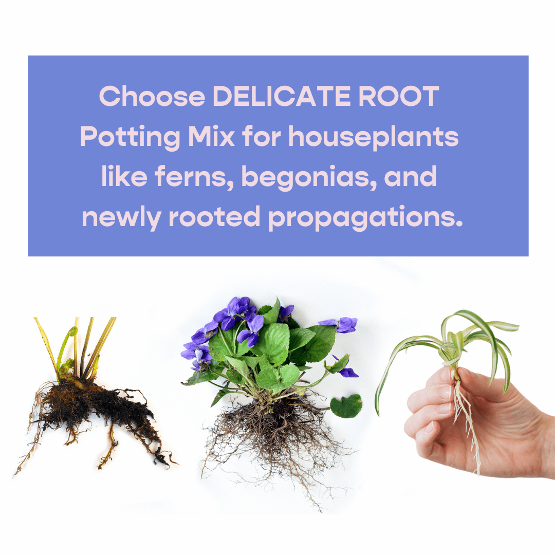 Delicate Root Potting Mix - Organic Mix of Coconut Chips, Coir, Horticultural Charcoal & Chunky Perlite