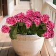 thumbnail image 3 of Tauxra Artificial Outdoor Geraniums Silk Fabric Flowers For Home Kitchen Dining Table Patio Garden Decor, 3 of 7