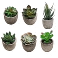 thumbnail image 1 of Mini Plantas Suculentas Artificiales Falsas Plantas Artificiales Adornos De Escritorio De Simulación Durable Realista Para Sala De Estar Dormitorio Cocina 6 Unids Noticed HA035469-00, 1 of 6