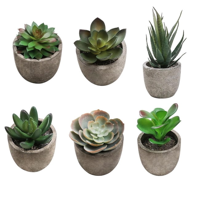 Mini Plantas Suculentas Artificiales Falsas Plantas Artificiales Adornos De Escritorio De Simulación Durable Realista Para Sala De Estar Dormitorio Cocina 6 Unids Noticed HA035469-00