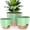 Green, variant on 5 Pack Self Watering Plant Pots, 10/9/8/7.5/7 Inch Large Plastic Planters with Drainage Holes, Water Level Indicator & Deep Reservoir, Flower Pots for Indoor Outdoor Garden Plants(Green)
