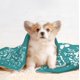 thumbnail image 4 of LHSHID Vet Tech Gifts Vet Tech Week Gifts Bulk Vet Tech Appreciation Gifts Best Veterinarian Gifts Veterinary Technician Week Gifts Blanket, 4 of 7