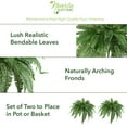 thumbnail image 2 of Nearly Natural 48in. Boston Fern Artificial Plant (Set of 2), Green, 2 of 4