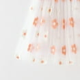 thumbnail image 4 of Little Girls Tulle Dresses Summer Casual Sleeveless Floral Embroidered Toddler Tutu Layered Dresses ( Light Pink, 0-1 Years ), 4 of 5