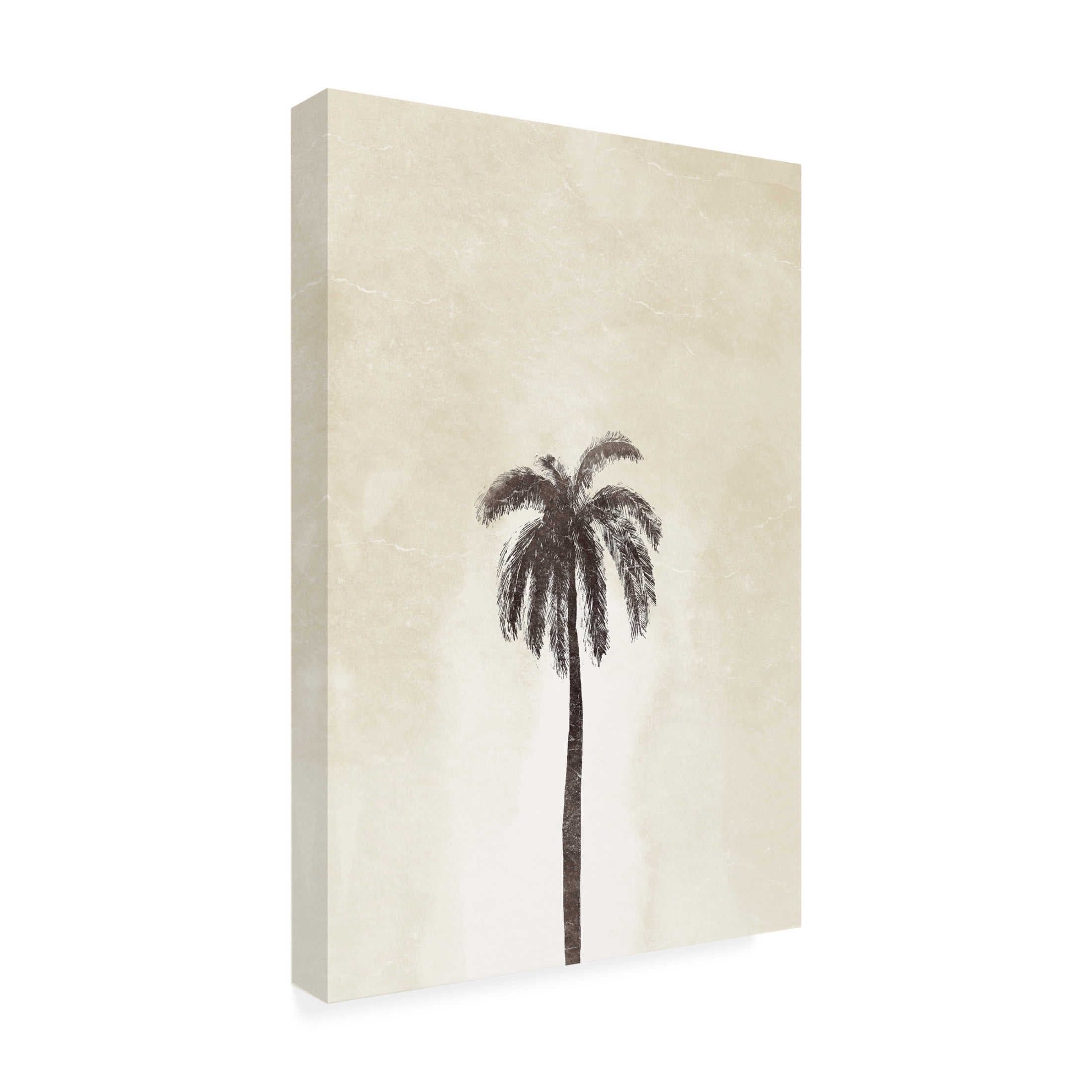 Canvas Wall Art - Yuyu Pont 'Palmera III' Wall Art for Living Room, Bedroom, or Office Décor by Trademark Fine Art - 22 x 32 Inches