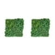 thumbnail image 2 of Injueey Colgante de pared de plantas artificiales, exquisito colgante de larga duración para baile de graduación, ahorro de espacio, Type3 NO3, 2 of 6