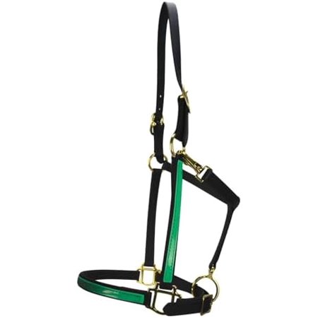 2-Tone .75 inch Beta Halter