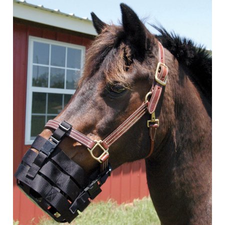 Perri's Pony Nylon Anti-Grazing Muzzle, Black,