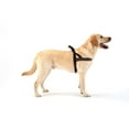 thumbnail image 3 of ComfortFlex Sport Dog Harness – No-Choke, Fully Padded, Non-Chafing Harness - Blue Jay, XLarge, 3 of 8