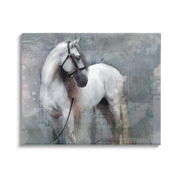 Stupell Industries Abstract Grey Horse Stallion Animals & Insects Painting Gallery Wrapped Canvas Print Wall Art