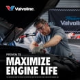 thumbnail image 7 of Valvoline Daily Protection 10W-30 Conventional Motor Oil 5 Quart, 7 of 7