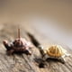 thumbnail image 3 of Gwong Decoración hogareña Tortuga de caracol de incienso de incienso Soporte de censher Soporte de té Cultura Meditación Decoración Gwong 21039268, 3 of 7